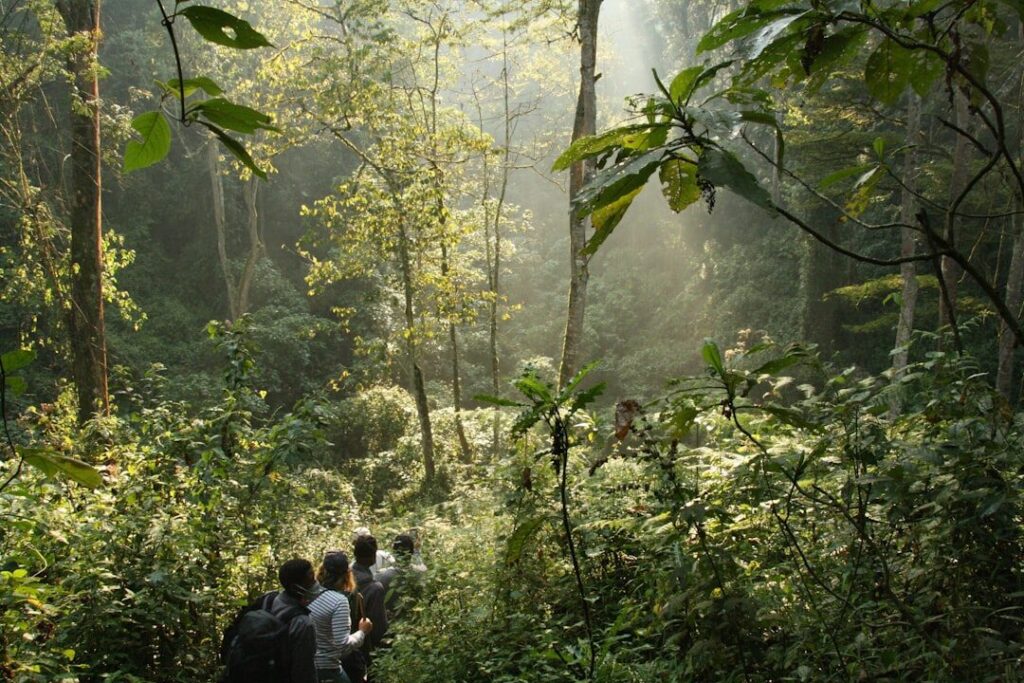 Biodiversity‑Based Tourism as a Structural Engine for Career Capital and Economic Mobility