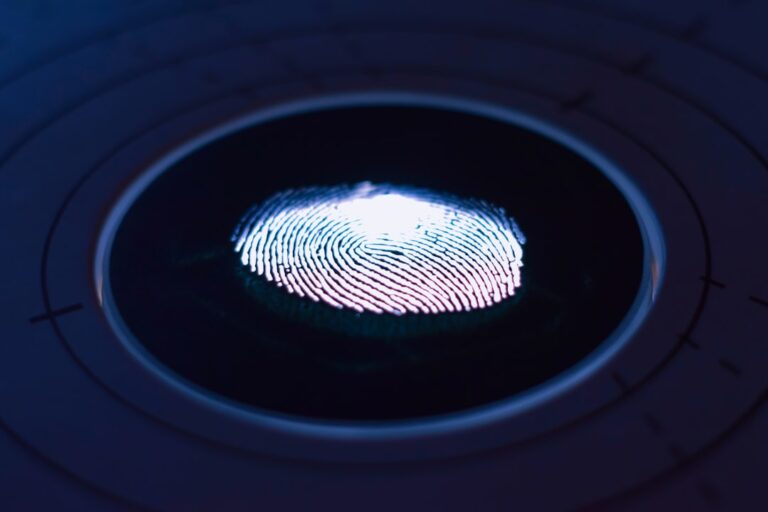 Biometric Gateways: How Secure Identity is Reshaping Careers and Capital in Finance