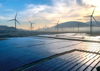 Can a PhD in Environmental Science Lead to a High-Paying Career in Sustainability Consulting?