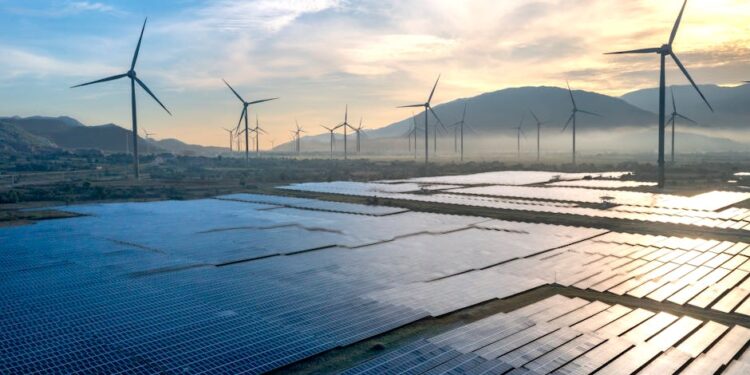 Can a PhD in Environmental Science Lead to a High-Paying Career in Sustainability Consulting?