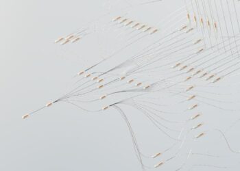 Why Some Professionals Succeed in Data Science Careers While Others Don’t