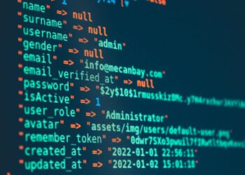 Software Engineering vs Data Science Careers in the US Which Pays More?