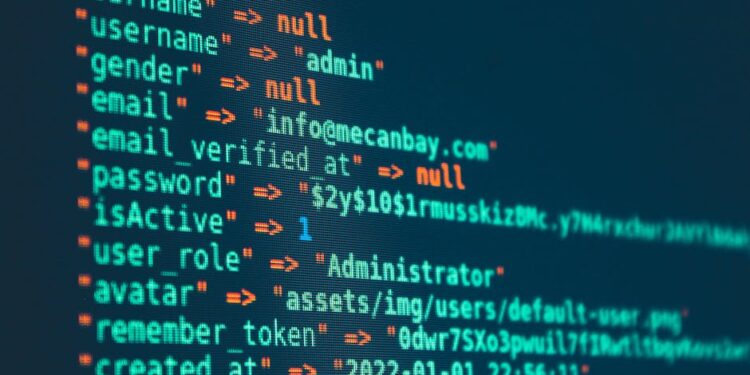 Software Engineering vs Data Science Careers in the US Which Pays More?