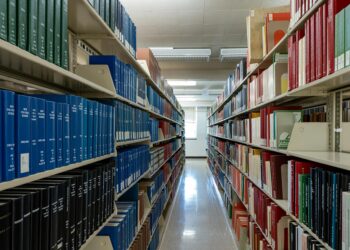 Campus Wellness as Institutional Capital: How Mental‑Health Resources Reshape Student Productivity and Future Economic Mobility