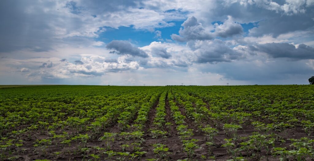 Carbon Credits Turn Soil Into Capital: How Climate‑Resilient Farming Is Re‑Engineering Agricultural Power