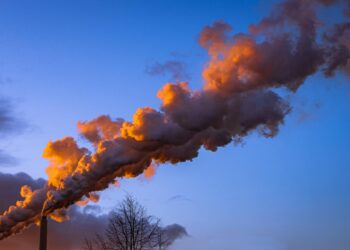 Carbon Offset Certificates: Mapping the Emerging Regulatory Architecture and Its Institutional Ripple Effects