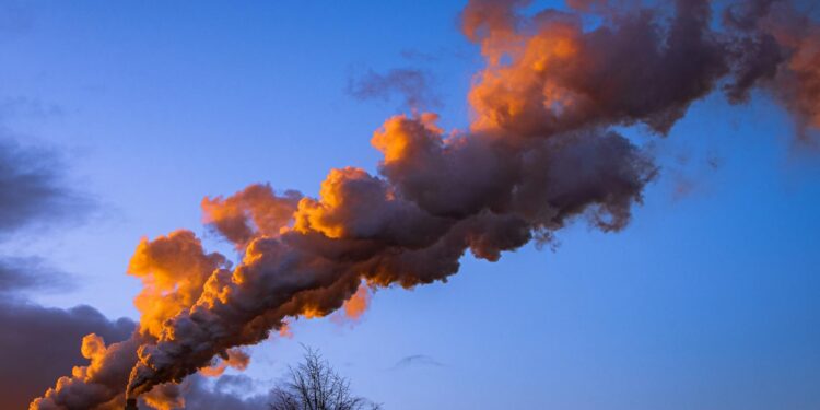 Carbon Offset Certificates: Mapping the Emerging Regulatory Architecture and Its Institutional Ripple Effects