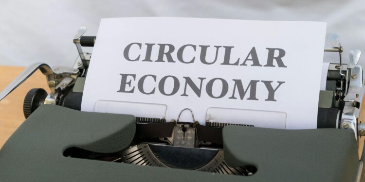 Circular Supply Chains: How the Circular Economy Reshapes Decarbonization and Career Capital