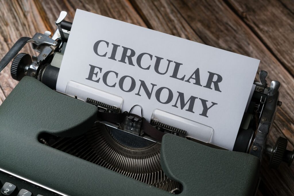 Circular Supply Chains: How the Circular Economy Reshapes Decarbonization and Career Capital