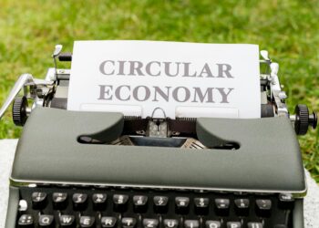 Circular Threads: How the Textile Industry’s Shift to a Circular Economy Reshapes Career Capital