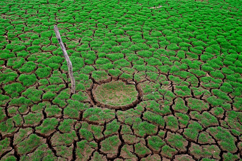 Climate‑Resilient Agriculture Redefines the Global Food‑Security Architecture