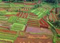 Climate‑Resilient Crop Insurance: A Structural Pivot for Agricultural Careers and Rural Economies