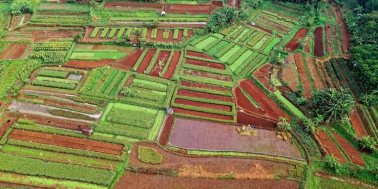 Climate‑Resilient Crop Insurance: A Structural Pivot for Agricultural Careers and Rural Economies