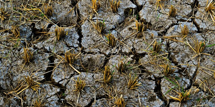 Climate‑Smart Agriculture: A Structural Pivot for Global Food Security