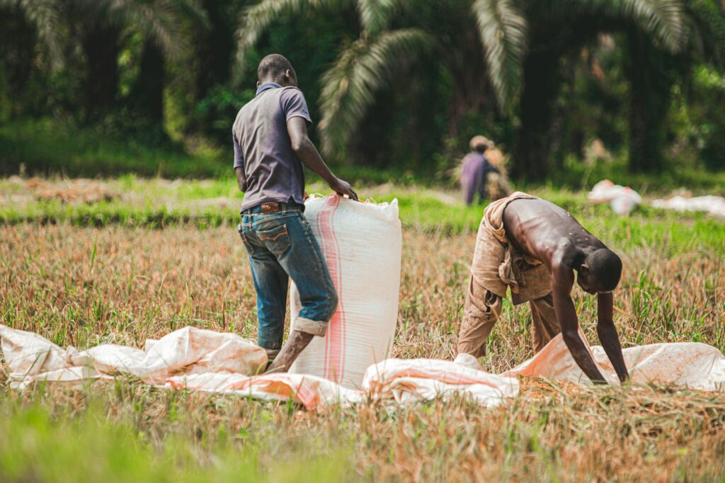 Climate‑Smart Agriculture: A Structural Pivot for Global Food Security
