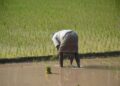 Climate‑Smart Policy: How Institutional Power Is Reshaping Farmer‑Led Resilience