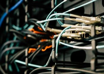 Closing the Digital Divide: How Public Broadband is Reshaping Youth Career Capital