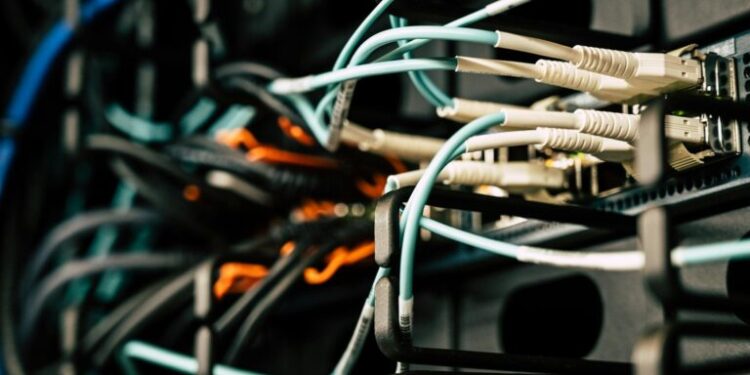 Closing the Digital Divide: How Public Broadband is Reshaping Youth Career Capital