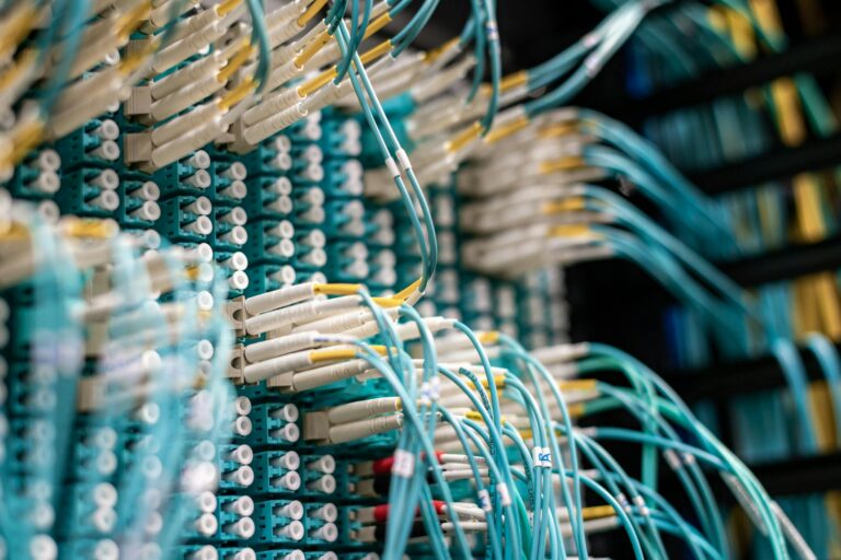 Closing the Digital Divide: How Public Broadband is Reshaping Youth Career Capital