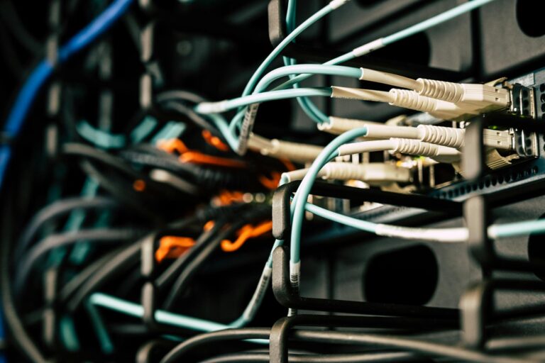 Closing the Digital Divide: How Public Broadband is Reshaping Youth Career Capital