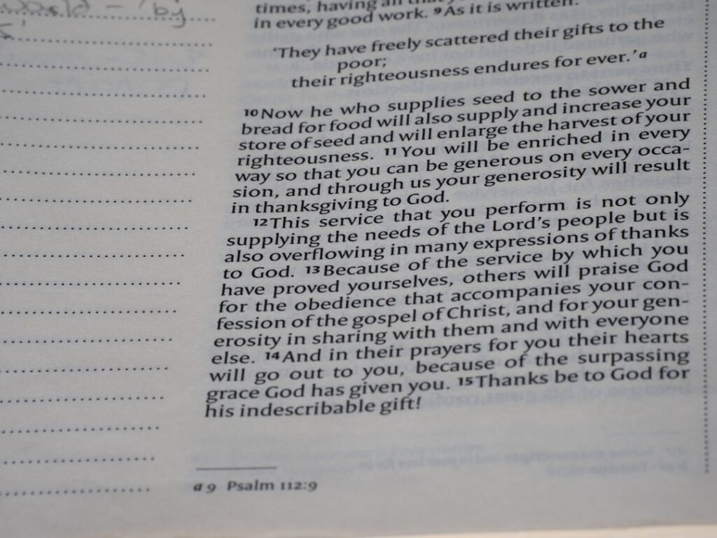 Co‑Living’s Institutional Rise: How Shared Housing Is Reshaping Career Capital and Urban Power