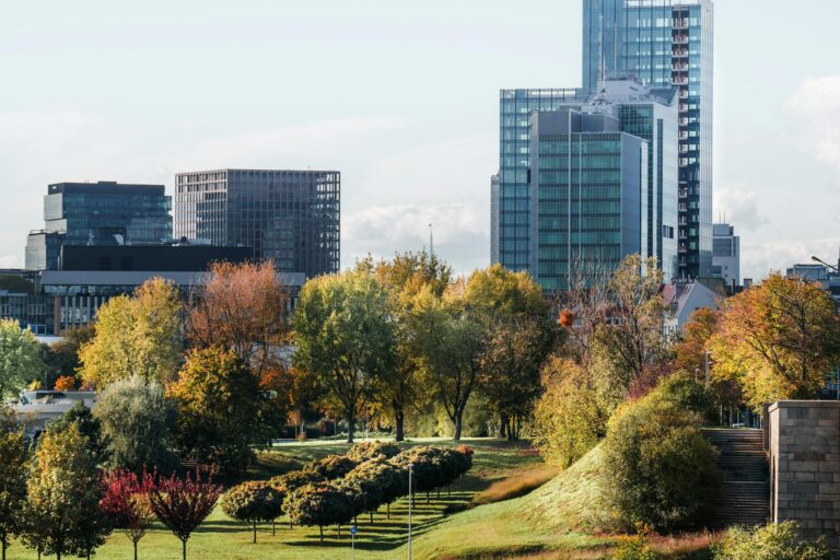 Community‑Driven Tourism Reshapes Urban Economic Trajectories