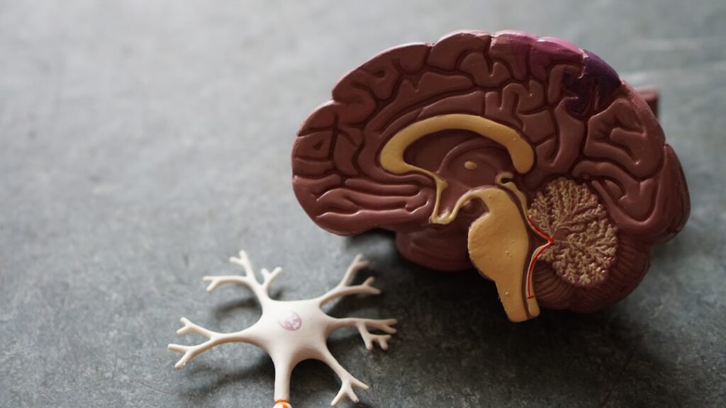 Compassionate Cognition: How Self‑Compassion Reshapes High‑Stakes Performance