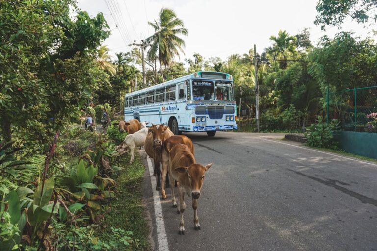 Destination Recovery Re‑Engineered: How Local Governments Are Restructuring Tourism Capital