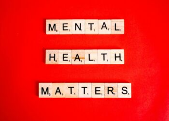 Digital Minimalism as a Structural Lever for Workplace Mental Health and Productivity