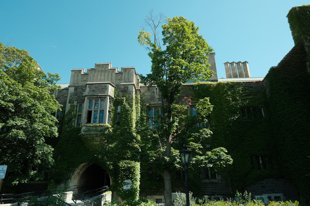 Over 300 US colleges and universities revise DEI policies, says Education Department