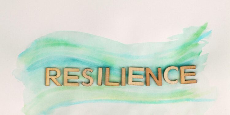 Emotional Agility as Institutional Capital in a Fluid Job Market