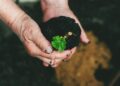 Engineered Phytobiomes: A Structural Pivot Toward Sustainable Food Systems