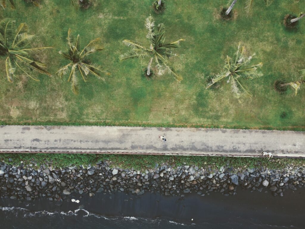 ESG Capital in the Startup Engine: How Institutional Power Is Re‑shaping Sustainable Growth