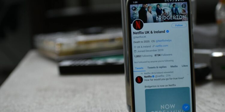 EU’s Digital Services Act Reshapes Global Cyber Governance and Social‑Media Careers