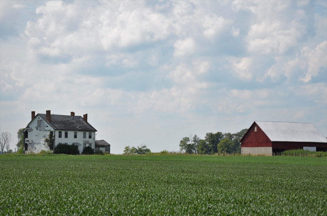 New UK farm inheritance tax rule will cause ‘significant challenges’, say accountants