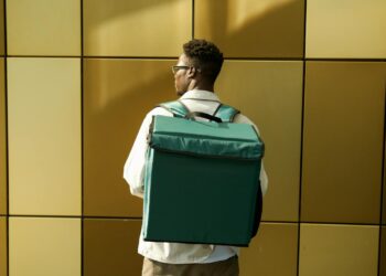 Gig‑Economy Ascendant: Structural Shifts in Career Capital and Institutional Power