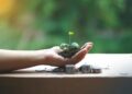 Green Bonds and Sustainability‑Linked Debt Redefine Climate Finance Architecture
