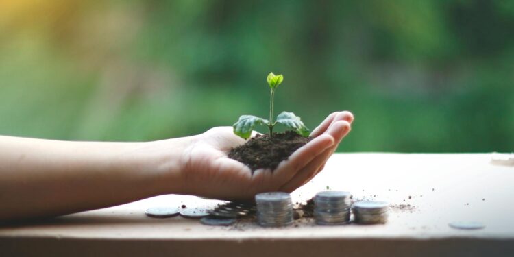 Green Bonds and Sustainability‑Linked Debt Redefine Climate Finance Architecture