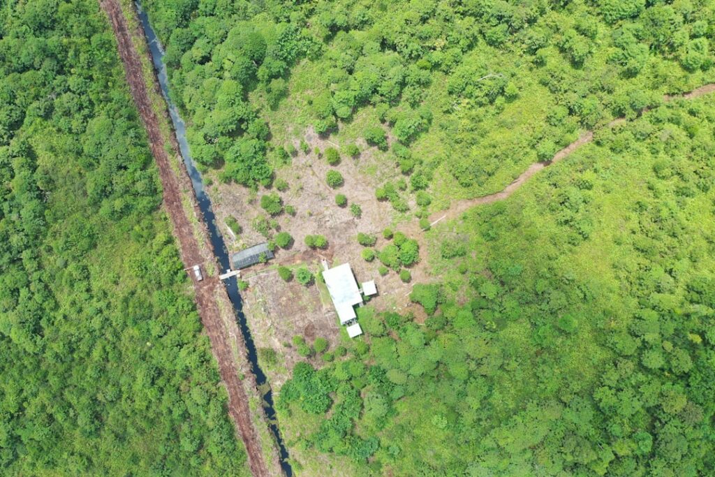 Green Bonds Reshape Capital Flows to Sustainable Infrastructure