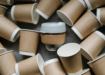 Green Capital: How Sustainable Consumerism Is Redefining Career Pathways