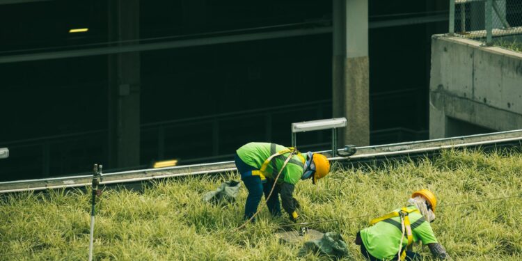 Green‑City Engine: How the Surge in Sustainable Infrastructure Is Re‑Engineering Career Capital for Environmental Engineers