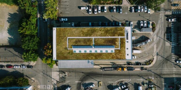Green Gentrification: The Structural Cost of Sustainable Urban Renewal