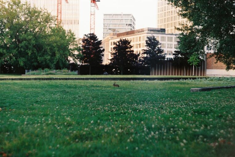 Green Gentrification: The Structural Cost of Sustainable Urban Renewal