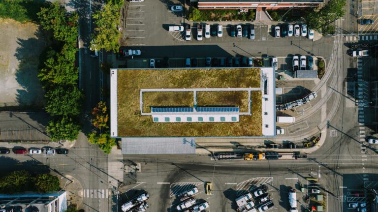 Green Gentrification: The Structural Cost of Sustainable Urban Renewal