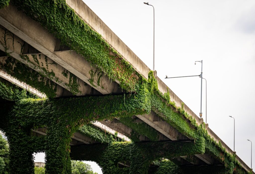 Green Infrastructure in the Global South: How ESG‑Focused Capital Is Redrawing the Development Playbook
