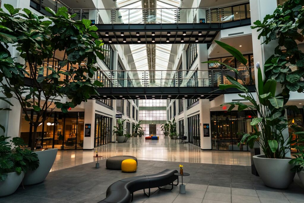 Green Offices, Gold‑Standard Careers: How Biophilic Design Reshapes Capital, Mobility, and Power in the Modern Firm