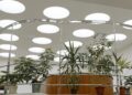 Green Offices, Gold‑Standard Talent: How Biophilic Design Reshapes Career Capital and Corporate Power