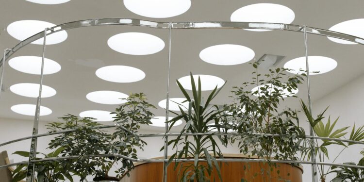 Green Offices, Gold‑Standard Talent: How Biophilic Design Reshapes Career Capital and Corporate Power