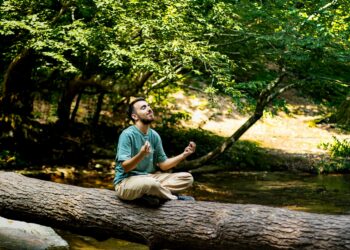 Green‑Space at Work: How Nature Therapy Is Redefining Corporate Mental‑Health Capital