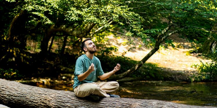 Green‑Space at Work: How Nature Therapy Is Redefining Corporate Mental‑Health Capital